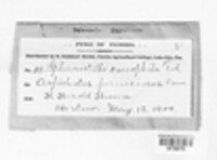 Image Associated With the Occurence